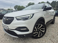 Opel Grandland X Jak nowy* Skóra* Super stan*Perła