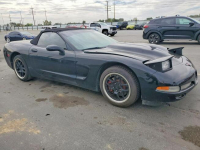 Chevrolet Corvette C5 / Manual / 5.7 V8 Wrocław - zdjęcie 3