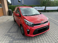 Kia Picanto 1,0 67KM  Klimatyzacja  Kamera  CarPlay Orzech - zdjęcie 3