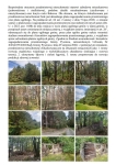 Syndyk sprzeda udziały w grunatach Jastkowice - Stalowa Wola Pisz - zdjęcie 2