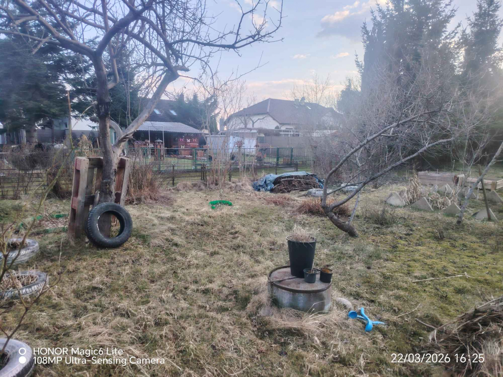 Działka rod Zielona Góra - zdjęcie 3