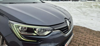 Renault Megane LED Paproć - zdjęcie 2