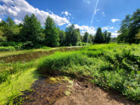 Działka rekreacyjna 30 arów nad rzeką lubaczówka. Czerwona Wola - zdjęcie 7