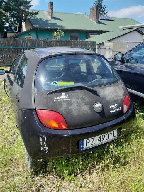 Samochód osobowy Ford Ka, rok produkcji 2004 Poznań - zdjęcie 3