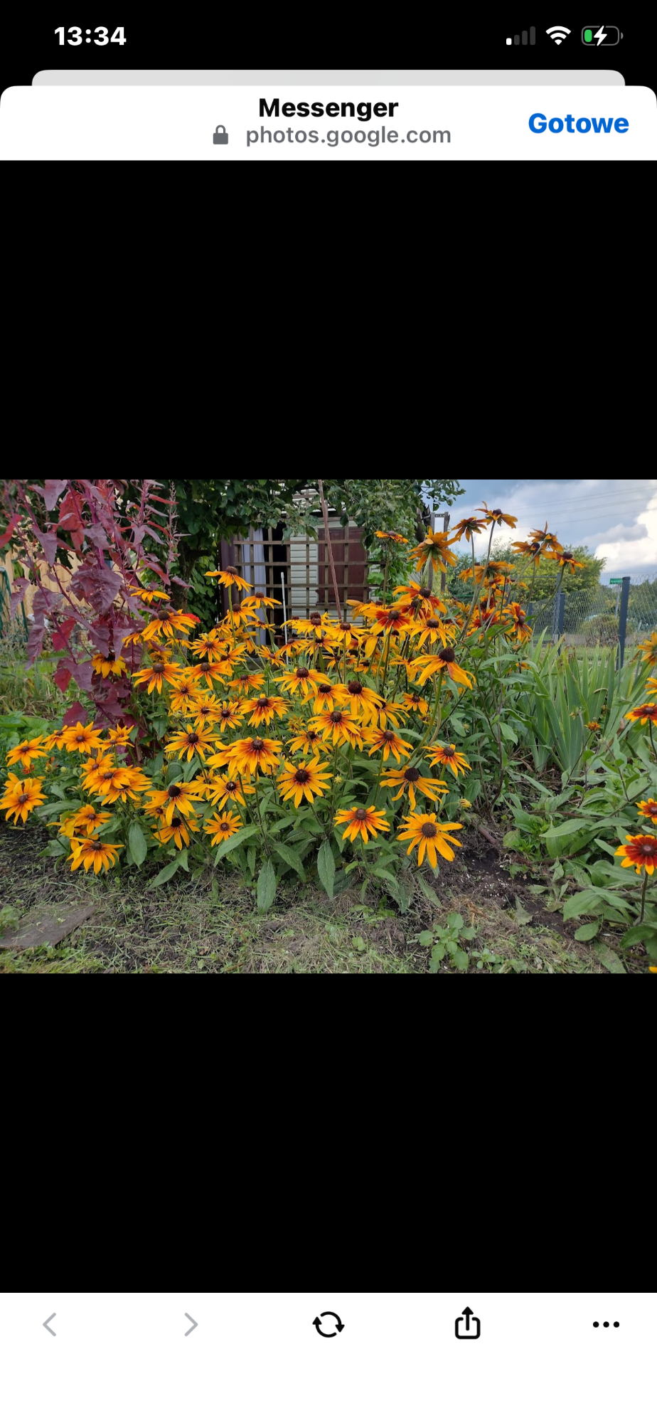 Działka Rod przy kanale bystrym Augustów - zdjęcie 3