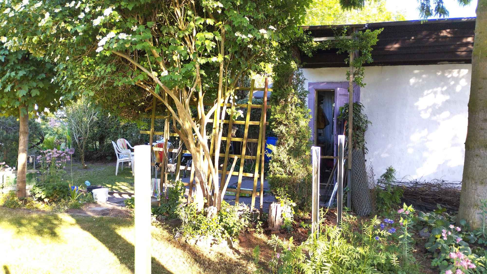 Działka ROD im.Bohaterów Warszawy Szczecin - zdjęcie 4