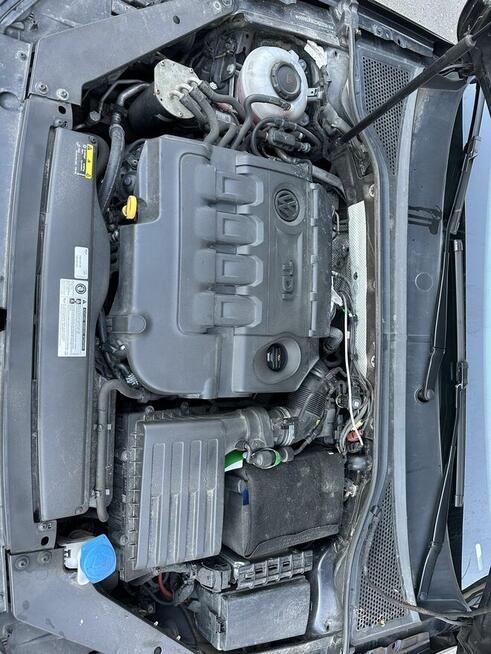 Volkswagen Passat 2.0 TDI BMT Highline DSG7 Zbrudzewo - zdjęcie 12