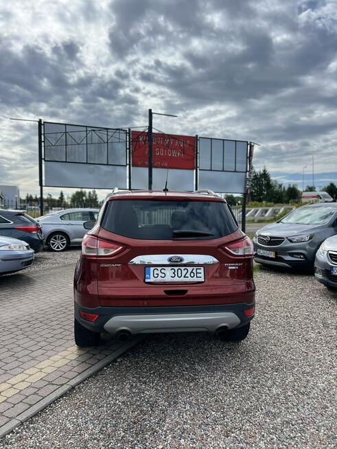 Ford Escape PANORAMA Słupsk - zdjęcie 5