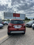 Ford Escape PANORAMA Słupsk - zdjęcie 5