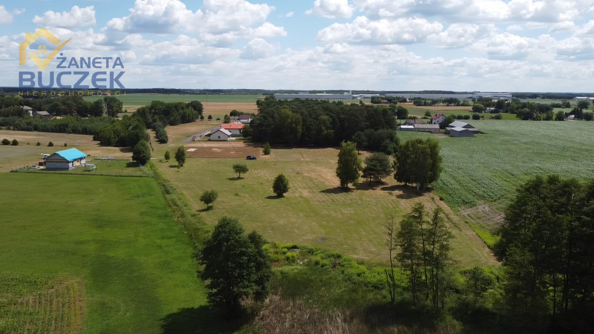 Nowe Gnatowice- działka budowlano- leśna Nowe Gnatowice - zdjęcie 3