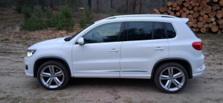 Okazja! Sprzedam śliczne autko! Dębno - zdjęcie 3