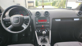 Audi A3 8P 1.9 TDI Broniszów - zdjęcie 6