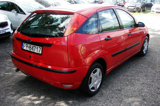 Ford Focus Bezwypadkowy , Polski salon , Super stan Piła - zdjęcie 3