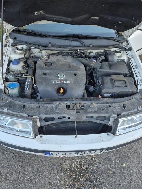 Skoda octavia 1.9tdi Ustka - zdjęcie 8