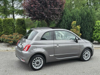 Fiat 500 1.2 benzyna / I-właściciel / Serwisowany / Bezwypadkowy Skępe - zdjęcie 2