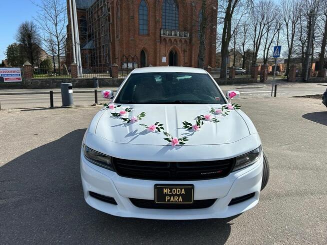 Dodge Charger samochód do ślubu Ostrołęka - zdjęcie 2