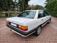 Audi 100 C3 Cygaro *5 cylindrów* Ostrołęka - zdjęcie 4