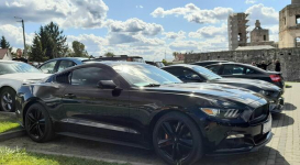 Mustang turbo, performance pack + premium pack + modyfikacje Chruszczobród - zdjęcie 2