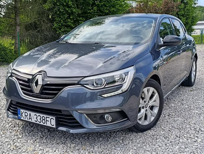 Renault Megane 1,3 Kamera, Nawigacja ,Serwis ,bdb stan Dulowa - zdjęcie 1