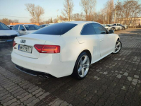 S5 333KM Karczew - zdjęcie 12