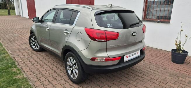 Kia Sportage ŚWIETNY STAN-KAMERA-NAVI-NAGŁOSNIENIE Paproć - zdjęcie 6