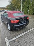 Audi A3 cabrio NIESPOTYKANY ! Włocławek - zdjęcie 7
