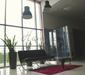 Na wynajem: 300 m2, Augustówka, showroom Mokotów - zdjęcie 6