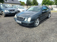 Mercedes CLK 2.0 99r Automat Tarnów - zdjęcie 2