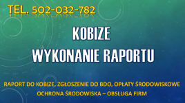 Raport do Kobize, t.502-032-782, raportowanie, wykonanie raportu, cena Psie Pole - zdjęcie 1