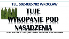 Tuje  sadzenie, cena,  t.504746203. Wrocław, Nasadzenie tui, żywopłot. Psie Pole - zdjęcie 2