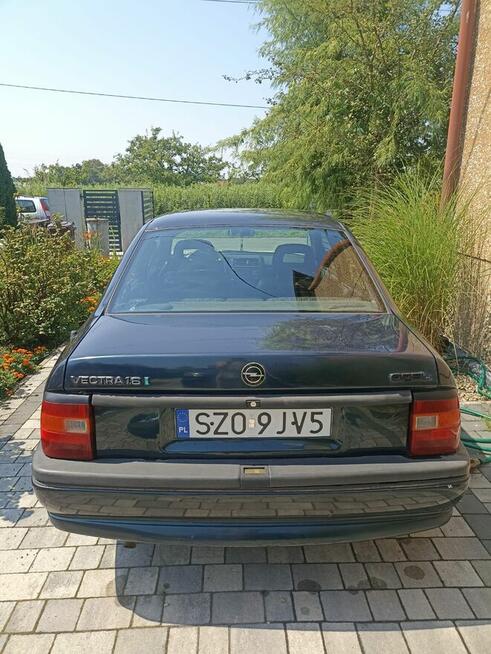 1994 Opel vectra Żory - zdjęcie 6