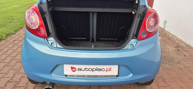 Ford KA GRZANE FOTELE Paproć - zdjęcie 8