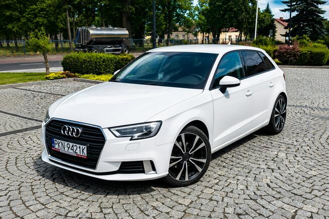 Audi A3 Sadlno - zdjęcie 1
