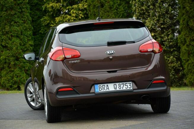 Platinum Lift Navi Ledy Kamera Klimatronic Matrix Braun Alu16 ASO Kia Ostrów Mazowiecka - zdjęcie 8