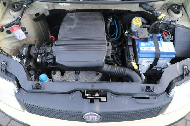 Fiat Panda zarejestrowany Opole - zdjęcie 12