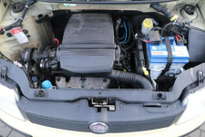 Fiat Panda zarejestrowany Opole - zdjęcie 12