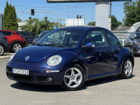 Volkswagen New Beetle *FILM*Zadbany*Roczna Gwarancja Techniczna* Suchy Las - zdjęcie 3