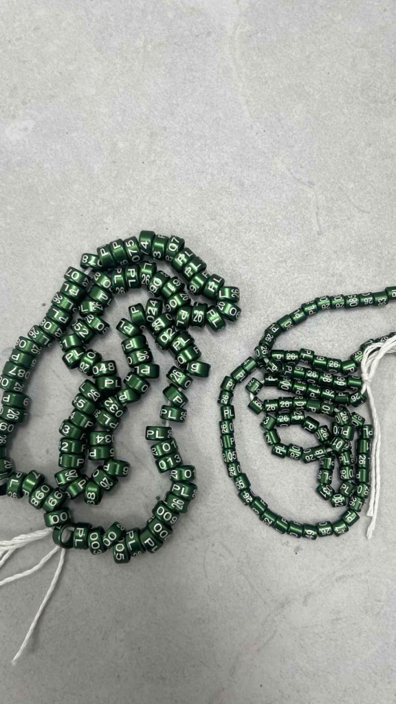 Obrączki aluminiowe dla drobnej egzotyki, papug na 2026 Sucha Beskidzka - zdjęcie 3