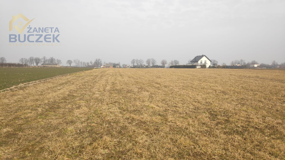 Sprzedam działki rolne z WZ w Strzyżewie Strzyżew - zdjęcie 1