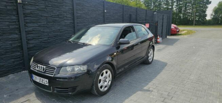 Audi A3 2005r 1.6 Benzyna PIĘKNA z klimatyzacją Brzoza - zdjęcie 2