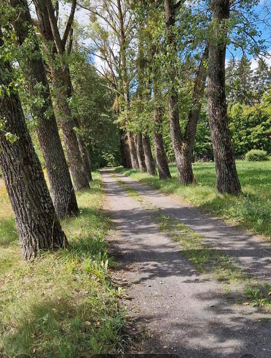 Działka budowlana Słójka Dziewiczy Ług Słójka - zdjęcie 5