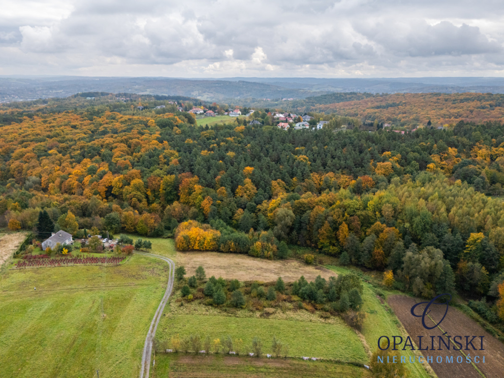 Działka pod lasem 16,80 ar z warunkami zabudowy Rzeszów - zdjęcie 11