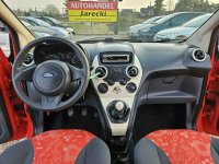 Ford KA Opłacony Zdrowy  Zadbany Serwisowany  po Serwisie Kisielice - zdjęcie 12