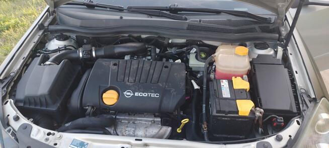 Auto z Nimiec Gubin - zdjęcie 5