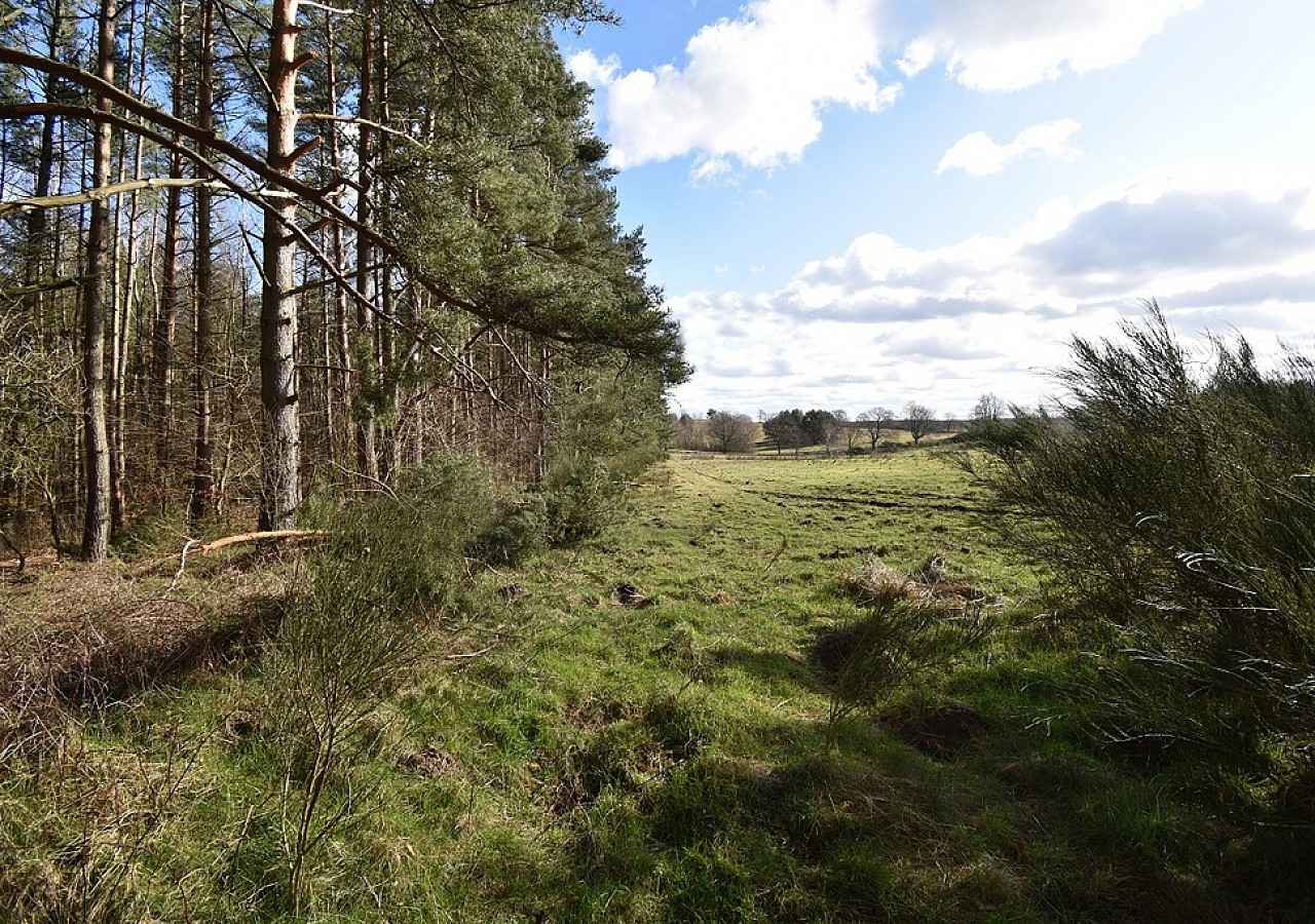 Sprzedam działki budowlane nad morzem w m. Bukowa pow. Smołdzino Bukowa - zdjęcie 11