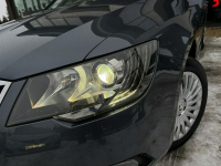 Superb 2.0 TDI 140km Business BIXENON navi HAK pamięć foteli SERW 2016 Tychy - zdjęcie 6