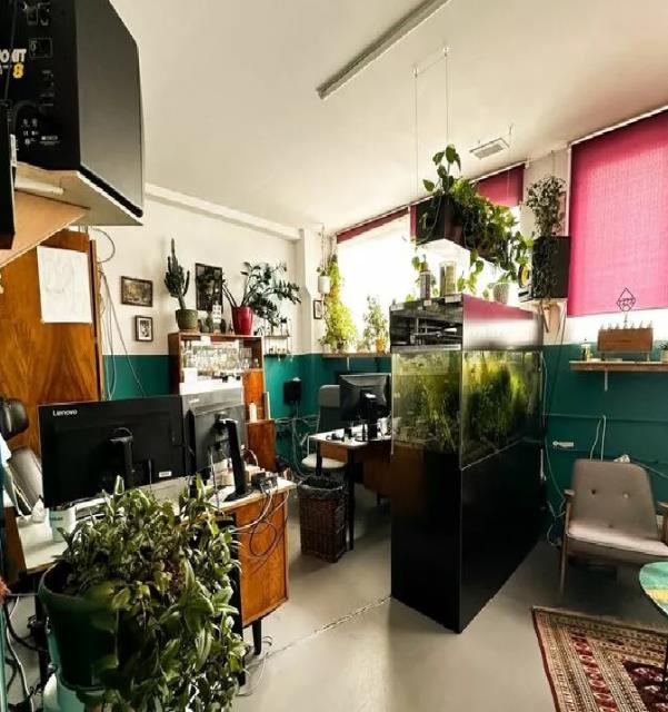 Lokal na wynajem Warszawa Wola Wola - zdjęcie 12