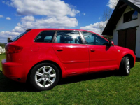 Audi a3 8p 1.6 MPI 102 KM LPG, Hak, 5 drzwi Pińczów - zdjęcie 8