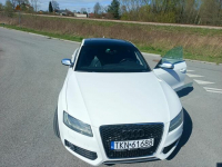 Audi S5 Warka - zdjęcie 7