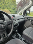 VW Caddy Maxi Long 7 - osobowy Rywałd - zdjęcie 7